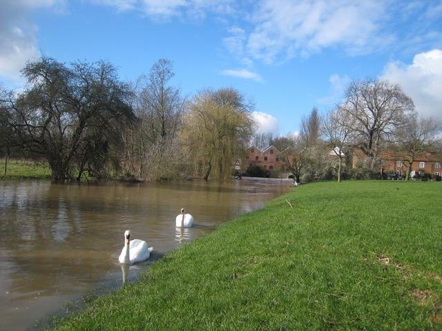 March 2007 Our Green
