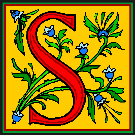 Letter S