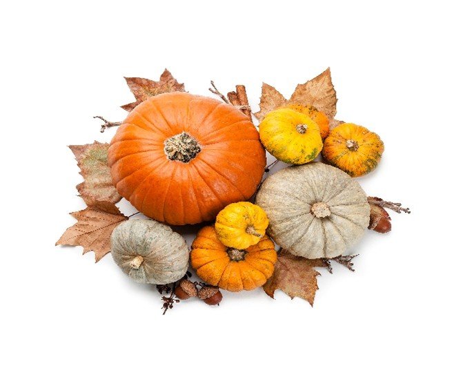 Autumn produce arranged on leaves